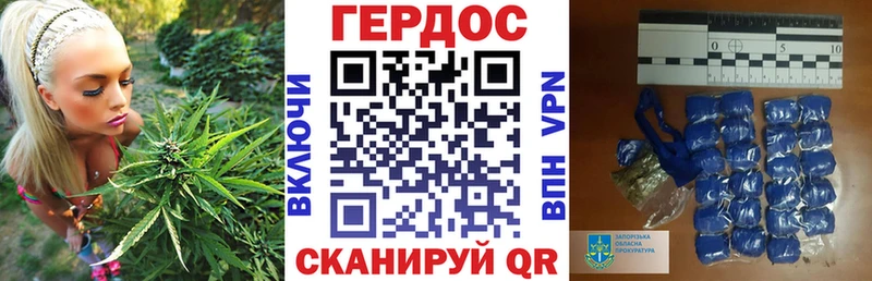 Героин хмурый  Ялта 