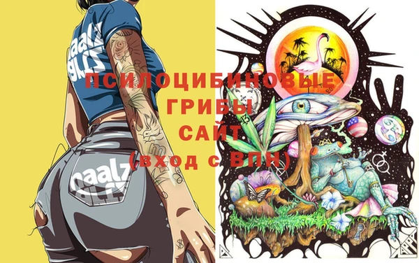 эйфоретик Балахна