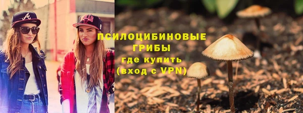 эйфоретик Балахна